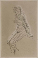 Image 14-11