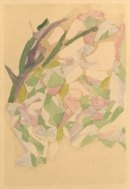 Image 15-7