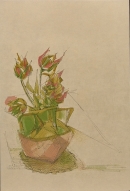 Image 16T-14