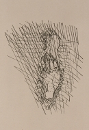 Image 16a-2