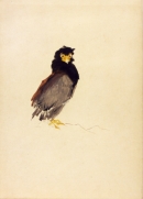 Image 4-11