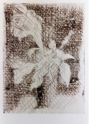 Image 9-13